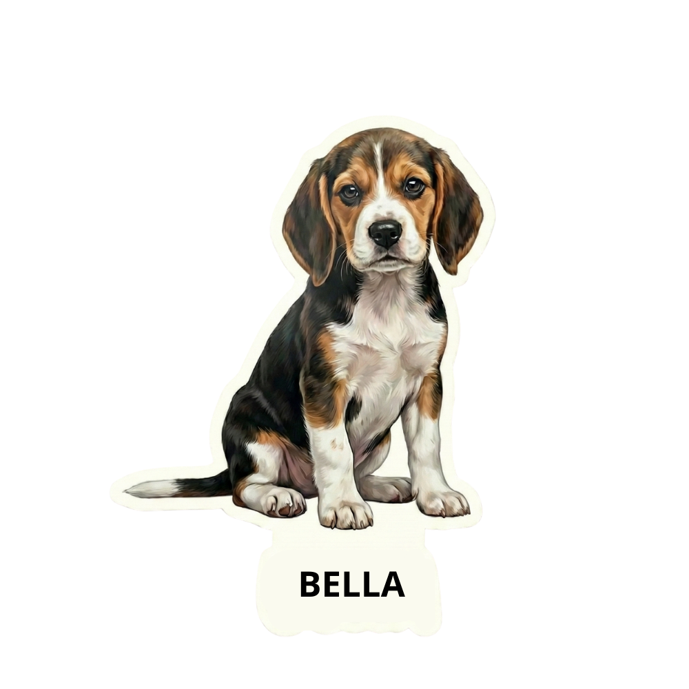 Beagle